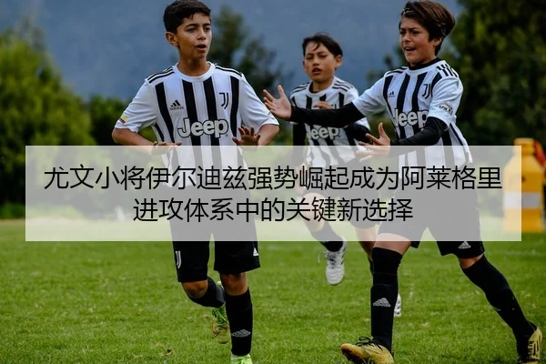 尤文小将伊尔迪兹强势崛起成为阿莱格里进攻体系中的关键新选择（kaiyun）